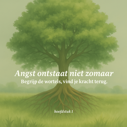 Terug naar je innerlijke kracht: Bevrijd jezelf van onrust, angst en mentale ruis