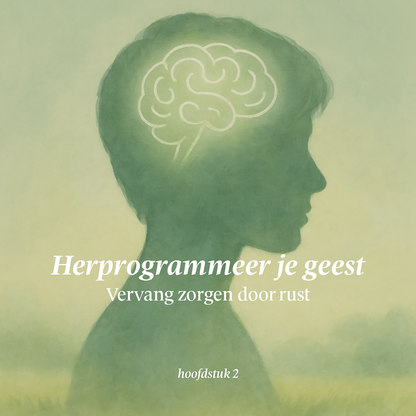 Terug naar je innerlijke kracht: Bevrijd jezelf van onrust, angst en mentale ruis