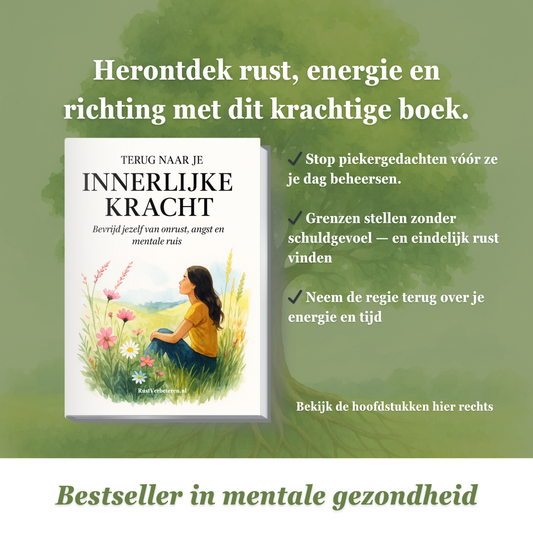 Terug naar je innerlijke kracht: Bevrijd jezelf van onrust, angst en mentale ruis